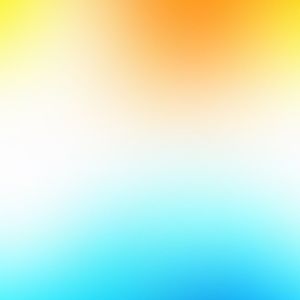 Meet your Posher, Ella